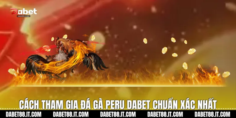 Cách tham gia Đá gà Peru Dabet chuẩn xác nhất