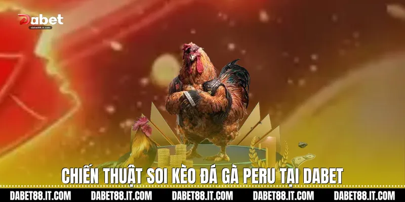Chiến thuật soi kèo Đá gà Peru tại Dabet