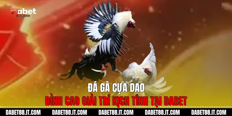 Đá Gà Cựa Dao