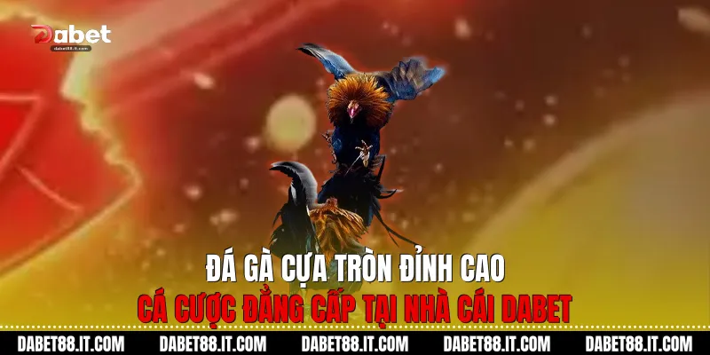 Đá Gà Cựa Tròn