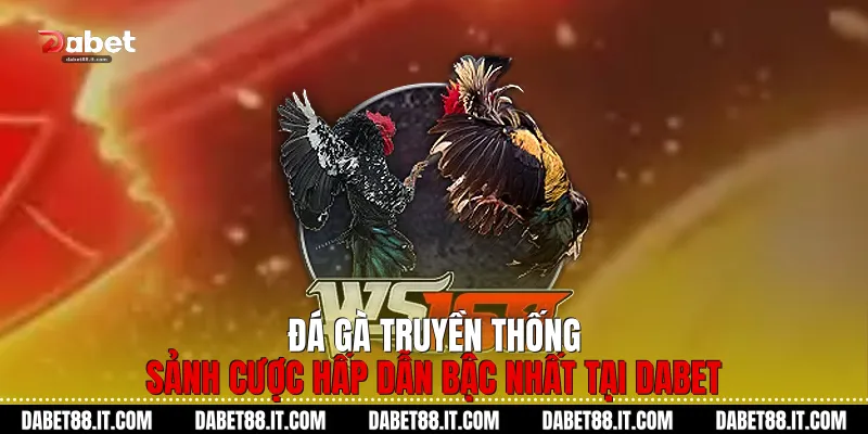 Đá Gà Truyền Thống
