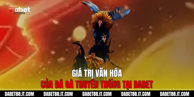 Giá trị văn hóa của Đá gà truyền thống tại Dabet