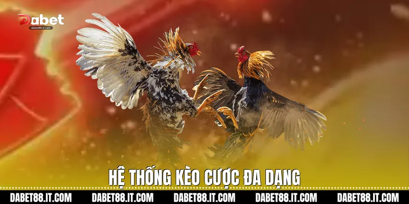 Hệ thống kèo cược đa dạng