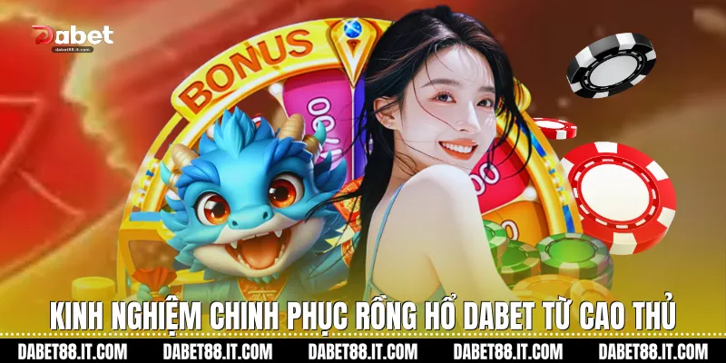 Kinh nghiệm chinh phục Rồng Hổ Dabet từ cao thủ