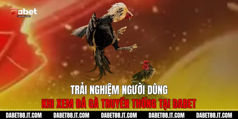 Trải nghiệm người dùng khi xem Đá gà truyền thống tại Dabet