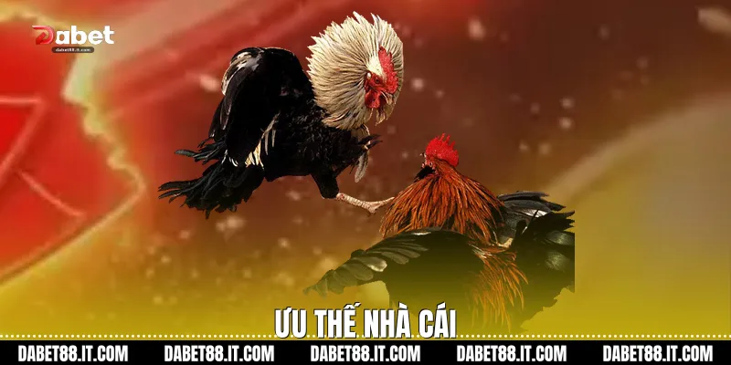 Ưu thế nhà cái